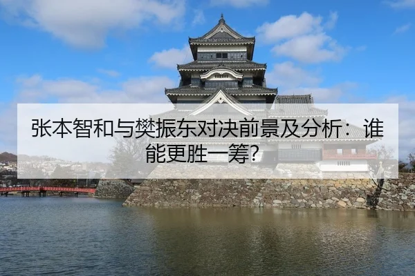 张本智和与樊振东对决前景及分析：谁能更胜一筹？